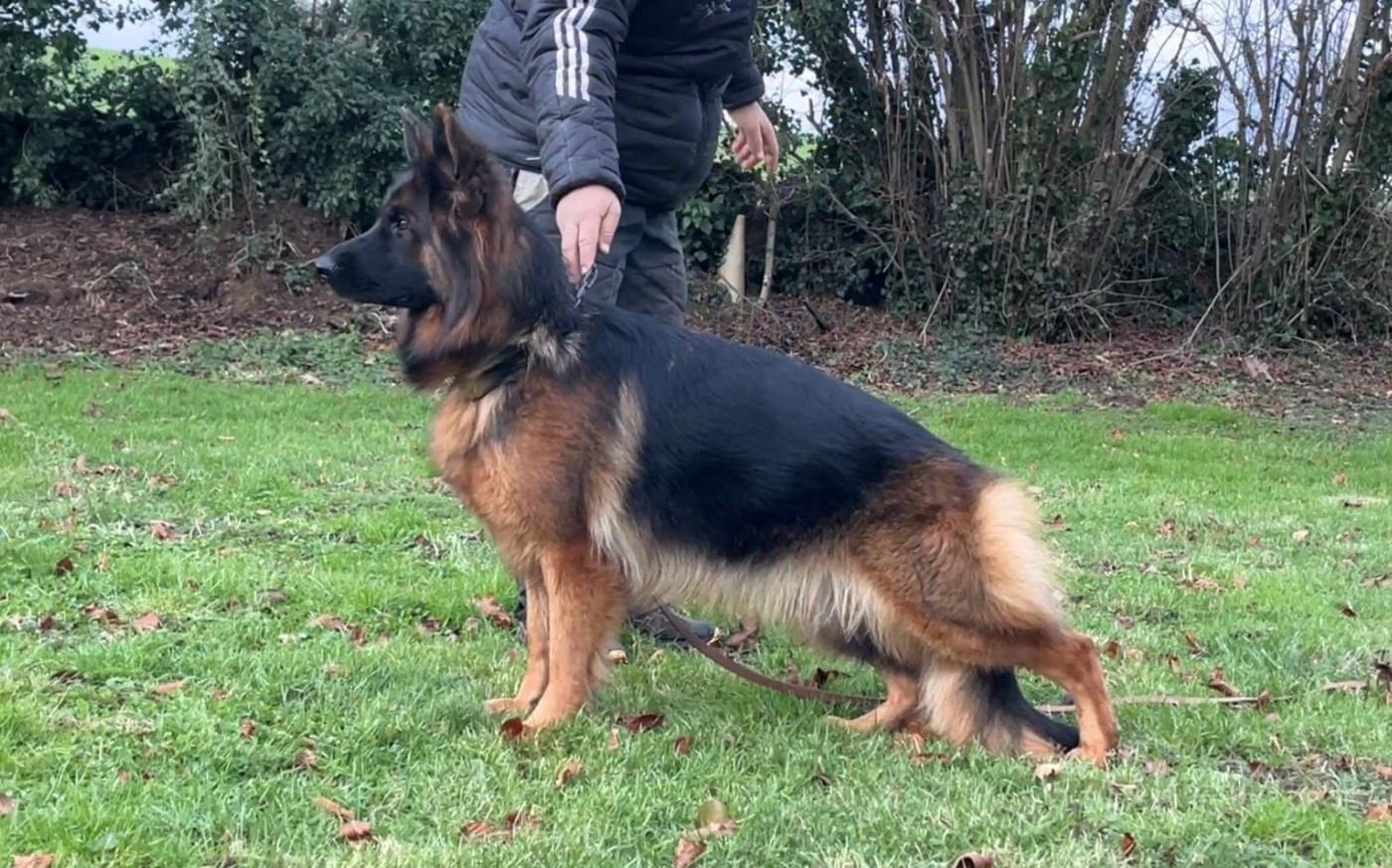 Vita du domaine de sanctae crucis